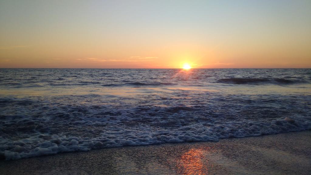 The Cottages At Madeira Beach เซนต์พีทบีช ภายนอก รูปภาพ
