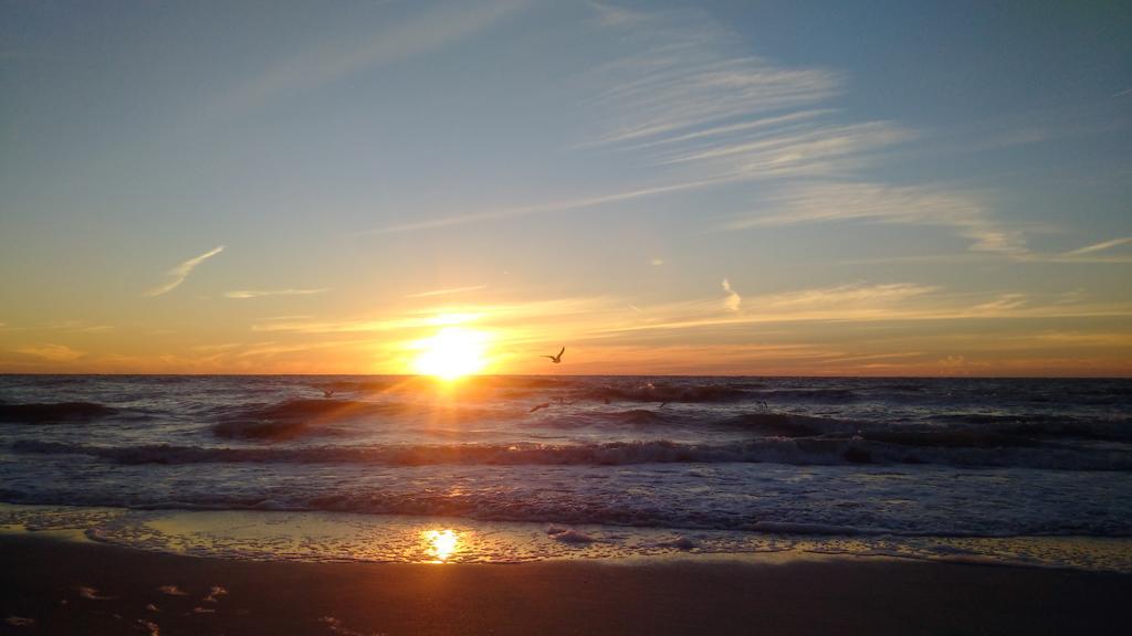 The Cottages At Madeira Beach เซนต์พีทบีช ภายนอก รูปภาพ